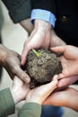 Hands holding clod of earth with plant