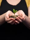 Hands Holding Coins with Sprout