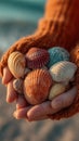 Hands Holding Colorful Seashells on a Sandy Beach Royalty Free Stock Photo