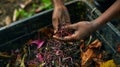 Hands Holding Composting Worms.AI generated image Royalty Free Stock Photo