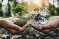 Hands holding crystal earth globe and growing tree Royalty Free Stock Photo