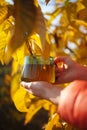 hands holding a cup of reishi mushrooms tea, outdoor with yellow leaves around, autumn tea mood