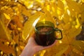 hands holding a cup of reishi mushrooms tea, outdoor with yellow leaves around, autumn tea mood