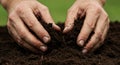 Hands Holding Dark Brown Soil Royalty Free Stock Photo