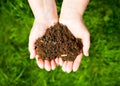 Hands holding an earth heart on natural green background. Ecolog