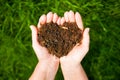 Hands holding an earth heart on natural green background. Ecolog