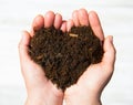 Hands holding an earth heart on white background. Ecology concep Royalty Free Stock Photo