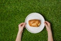 Hands holding empty paper plate with bun on grass Royalty Free Stock Photo