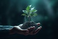 Hands holding a flourishing plant metaphorically Royalty Free Stock Photo