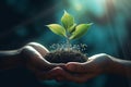 Hands holding a flourishing plant metaphorically