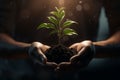 Hands holding a flourishing plant metaphorically Royalty Free Stock Photo