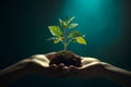 Hands holding a flourishing plant metaphorically Royalty Free Stock Photo