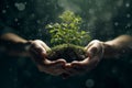 Hands holding a flourishing plant metaphorically Royalty Free Stock Photo