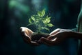 Hands holding a flourishing plant metaphorically Royalty Free Stock Photo