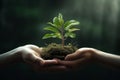 Hands holding a flourishing plant metaphorically Royalty Free Stock Photo