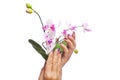 Hands holding flowers