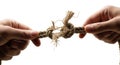 Hands holding a frayed rope knot coming undone under tension. A concept of stress, conflict, and breaking relationships. Isolated Royalty Free Stock Photo