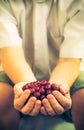 Hands holding fresh air gooseberry fruit Royalty Free Stock Photo