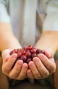 Hands holding fresh air gooseberry fruit Royalty Free Stock Photo