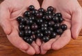Hands holding fresh berries black currant blackberry Royalty Free Stock Photo