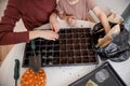 Hands holding fresh home made compost soil. Soil and hand. Hand pouring soil checking quality prepare growing seedling Royalty Free Stock Photo