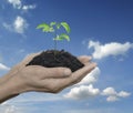 Hands holding a fresh small plant with soil over blue sky with w Royalty Free Stock Photo