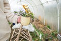 Hands holding gardening farmers tools close up with greenhouse background. Neutral colours. Farmers life concept