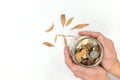 Hands holding a glass jar full of coins with drying plant leaves. Investment failure and stock market down concept. Royalty Free Stock Photo