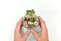 Hands holding a glass jar full of coins with wilting plant leaves. Investment failure and stock market down concept. Royalty Free Stock Photo