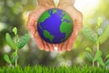Hands holding globe on blurred green bokeh background with growing sprouts and green grass Royalty Free Stock Photo