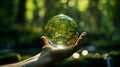 Hands holding globe glass in green forest, Environment concept. Royalty Free Stock Photo