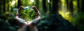 Hands holding globe glass in green forest, Environment concept Royalty Free Stock Photo