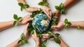 Hands holding globe surrounded by lush green leaves symbolizing global conservation and unity on white background Royalty Free Stock Photo