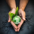 Hands holding a green globe of planet Earth on green leaves Royalty Free Stock Photo