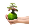 Hands holding green planet Royalty Free Stock Photo
