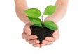 Hands holding green plant new life concept Royalty Free Stock Photo