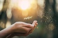 Hands holding green plant for planting. New life and hope concept image Royalty Free Stock Photo