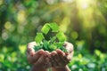 Hands holding a green recycling symbol with fresh leaves, concept for eco-friendliness and sustainability Royalty Free Stock Photo