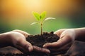 Hands holding green seedling with soil on blurred nature background, Ecology concept, Human hands holding green sprout growing Royalty Free Stock Photo