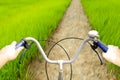 Hands holding handlebar of old bicycle on small path in rice fie Royalty Free Stock Photo