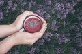 Hands Holding Healthy lavender tea cup. Top view.