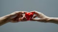 The Hands Holding Heart.AI generated image Royalty Free Stock Photo