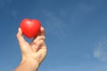 Hands holding heart, love concept with blue sky Royalty Free Stock Photo