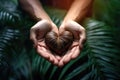 Hands holding heart made from dry leaves.AI generated Royalty Free Stock Photo