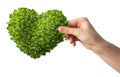 Hands holding a heart shaped green leafs