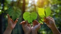 Hands Holding Heart-shaped Leaves.AI generated image Royalty Free Stock Photo