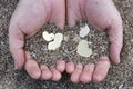 Hands Holding Heart Shapes and Sand Royalty Free Stock Photo