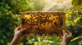 The honeycomb frame with bees. AI generated Royalty Free Stock Photo