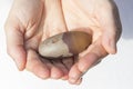 Hands holding a large piece of shiva lingam Royalty Free Stock Photo