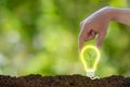 Hands holding light bulb with growing seedlings on soil, technology   energy sources for renewable, sustainable development, Royalty Free Stock Photo